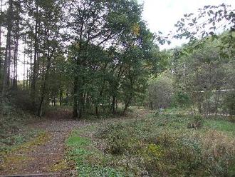 菖蒲平農村公園風景画像その二