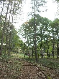 菖蒲平農村公園風景画像その五