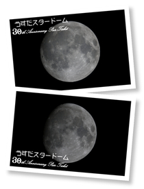 お月見ペアチケットの画像