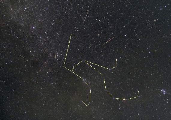 ペルセウス座流星群の画像