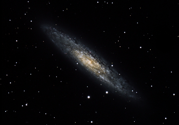 銀河　NGC253の画像です。