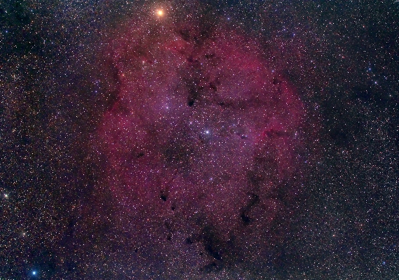 散光星雲　IC1396の画像です。
