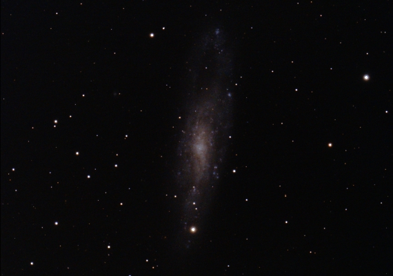 銀河　NGC247の画像です。