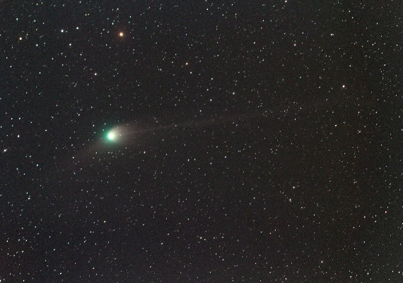 ZTF彗星の画像です。