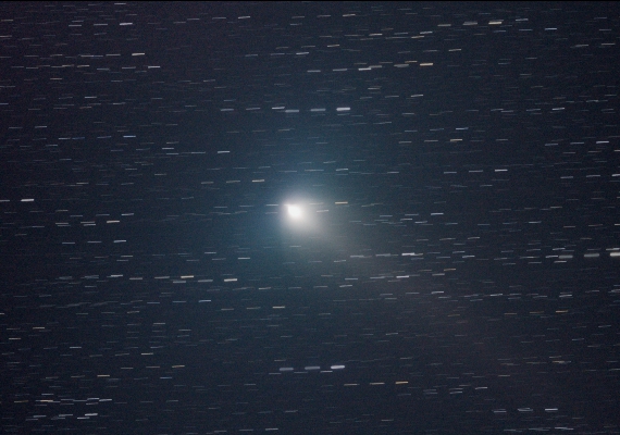 シュワスマン・ワハマン彗星(B核)の画像です。