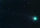 ラブジョイ彗星(C/2014Q2)の画像へ