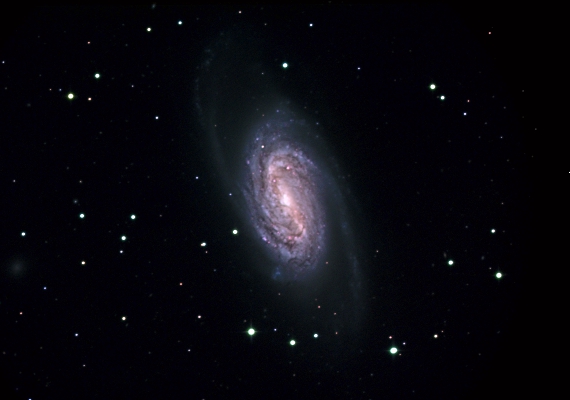 銀河　NGC2903の画像です。