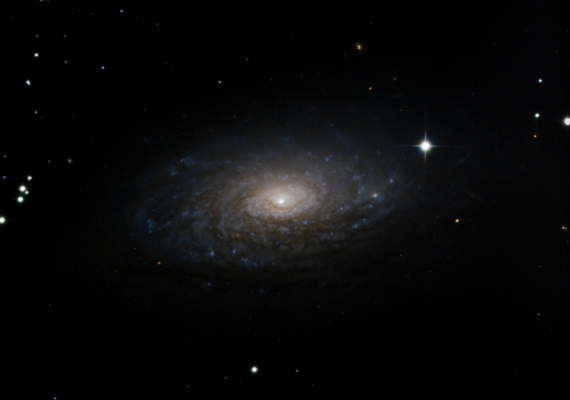 銀河　M63の画像です。