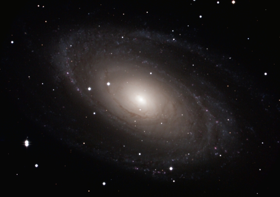 銀河　M81の画像です。