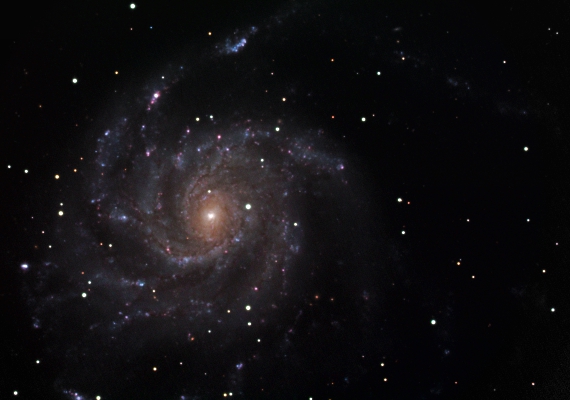 銀河　M101の画像です。