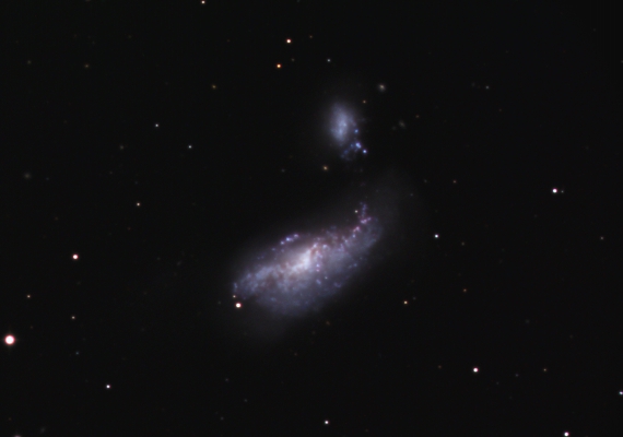 銀河　NGC4490の画像です。
