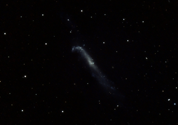 銀河　NGC4656の画像です。