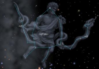 へびつかい座・へび座の星座絵です。
