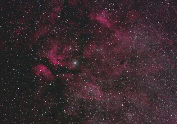 散光星雲　IC1318の画像です。