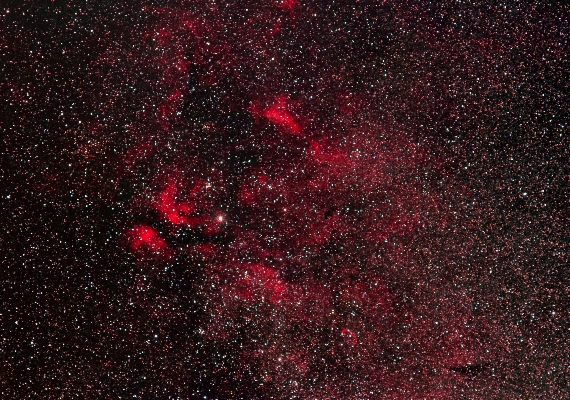 散光星雲　IC1318の画像です。