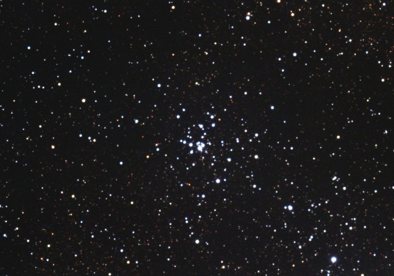 散開星団　M21の画像です。