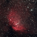 チューリップ星雲(Sh2-101)の画像へ