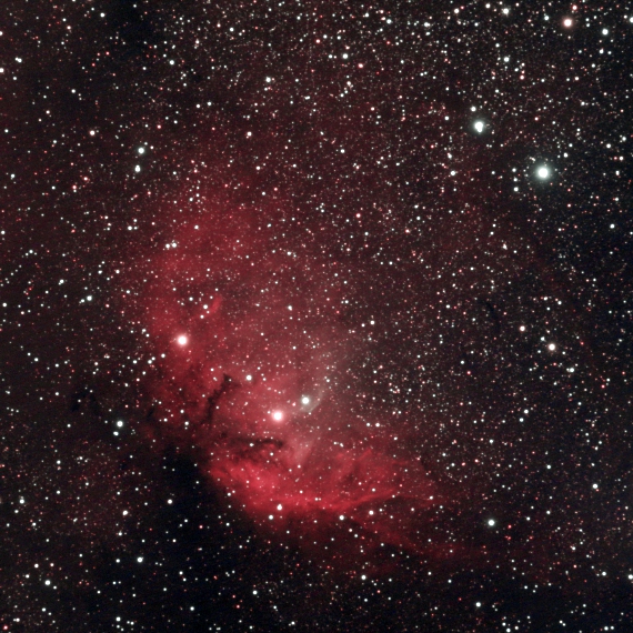チューリップ星雲(Sh2-101)の画像です。