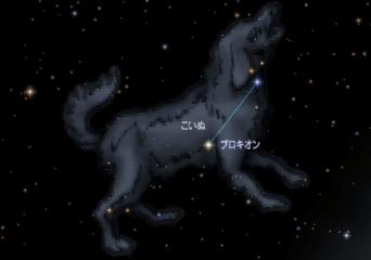 こいぬ座の星座絵です。