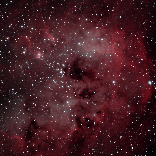 散光星雲IC410の画像です。