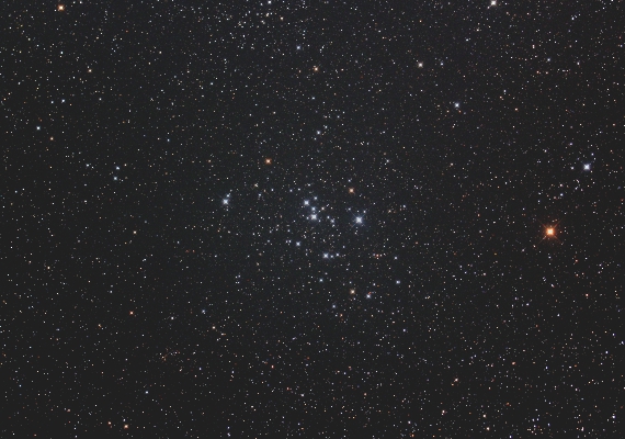 散開星団M47の画像です。