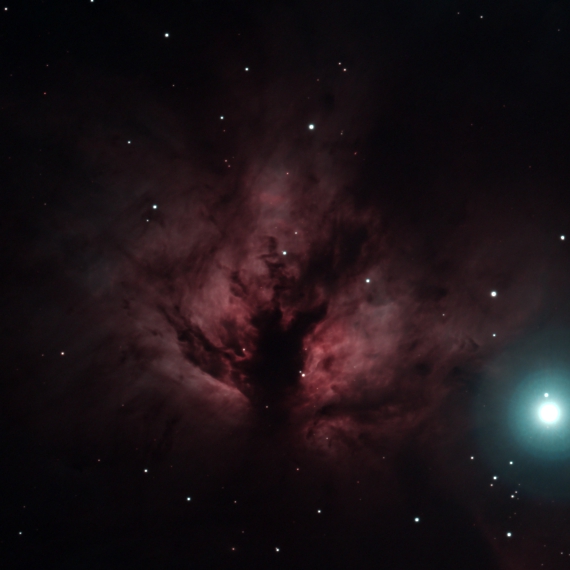 散光星雲　NGC2024の画像です。
