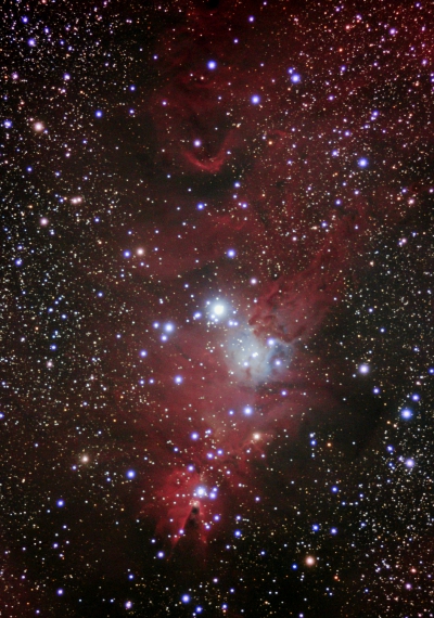 散光星雲　NGC2264の画像です。