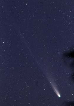 レモン彗星の画像